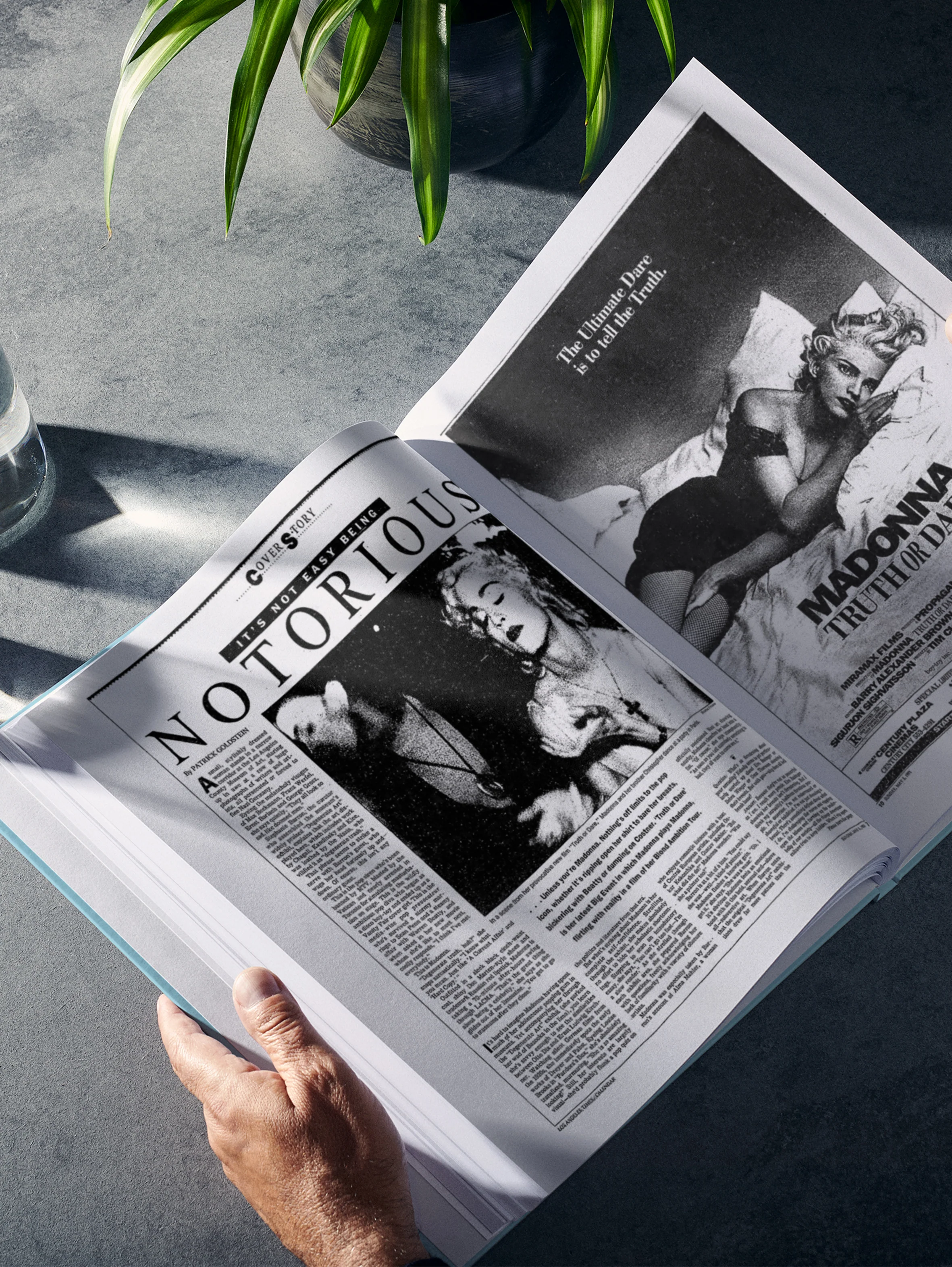 The Story of Madonna Los Angeles Times Edition - Image 5